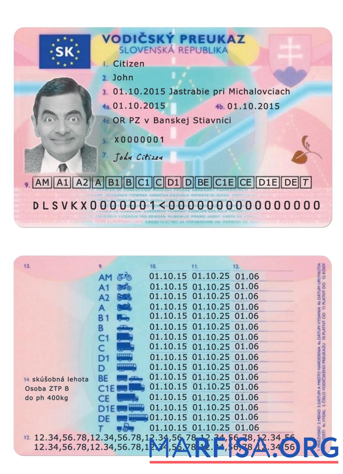 Printable Slovakia driving license download for verification